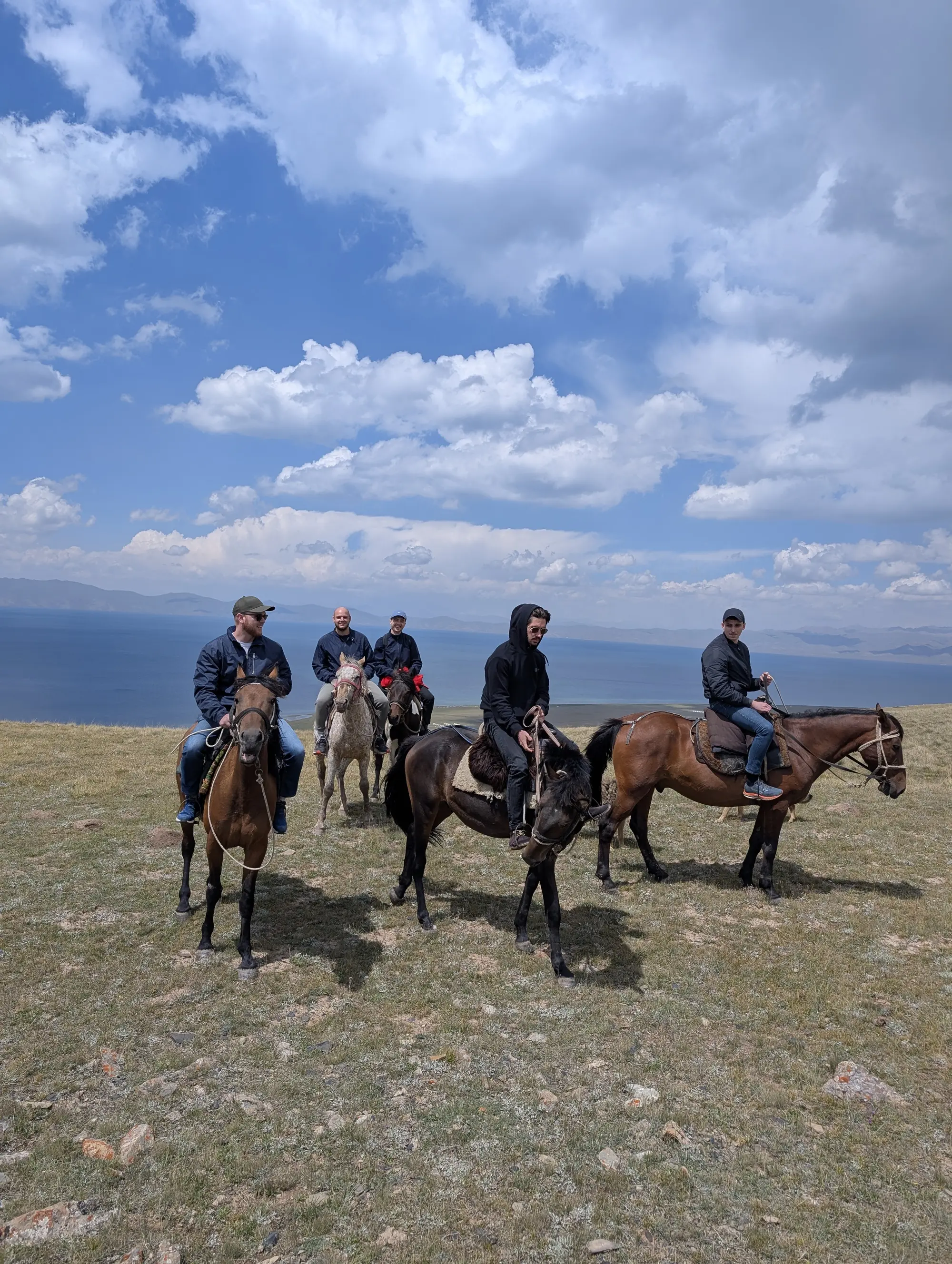 Horsies